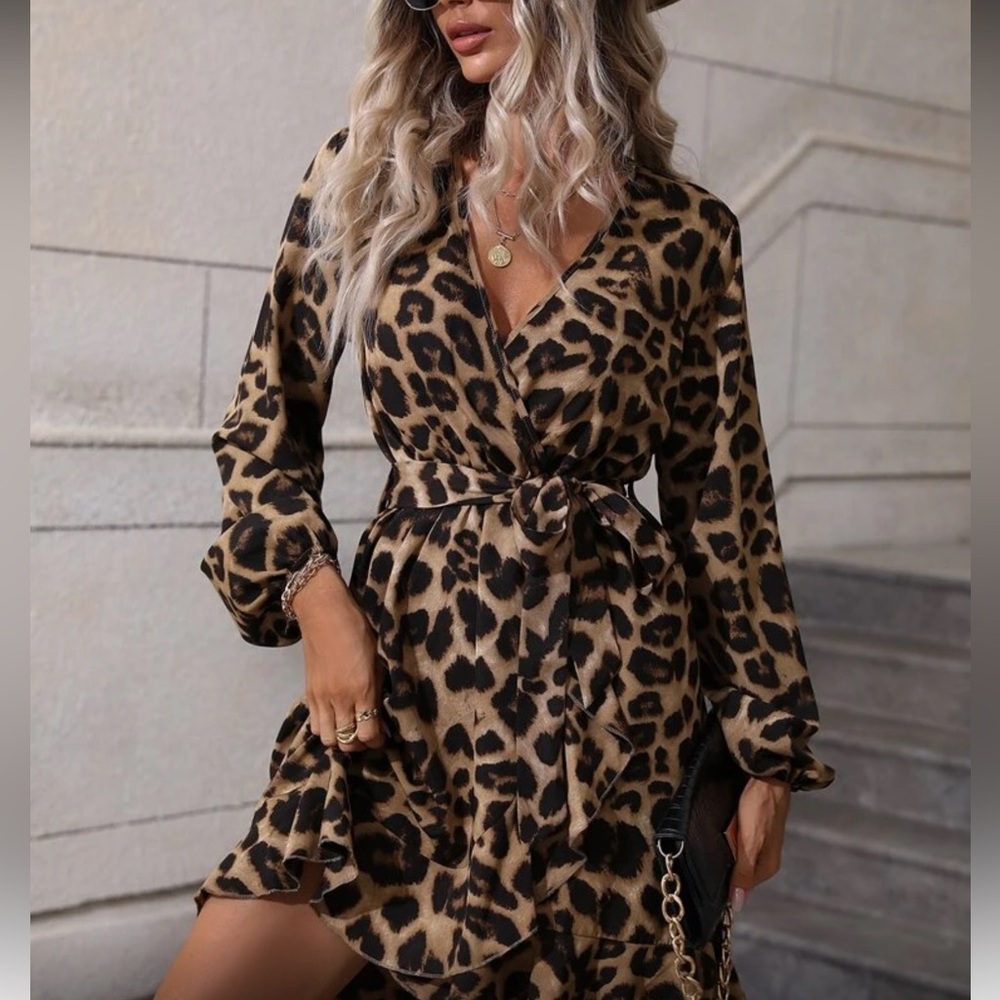 Leopard print long sleeve dress - Picture 4 of 5